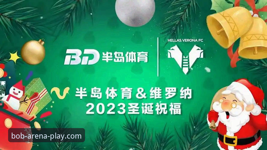 资深用户分享：半岛体育数据服务实战体验与使用心得